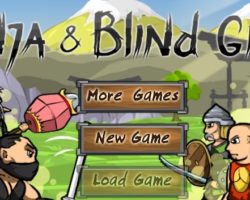 Ninja and Blind Girl 2