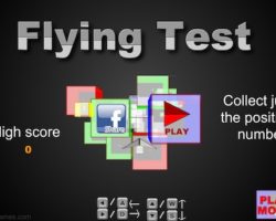 Flying Test