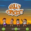 Gully Cricket
