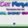 cat ninja