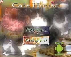 cats house