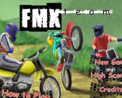 fmx team