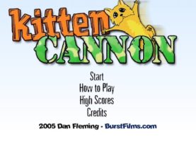 kitten cannon