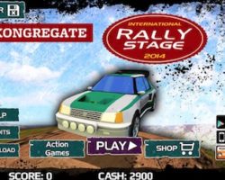 rally stage
