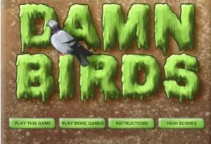 damn birds