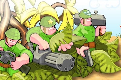 Battalion Commander