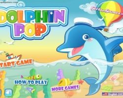 dolphin pop