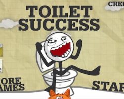 toilet success