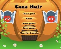 coco hair