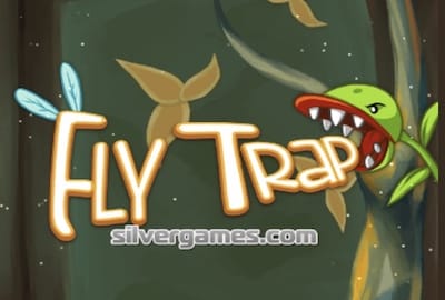 fly trap