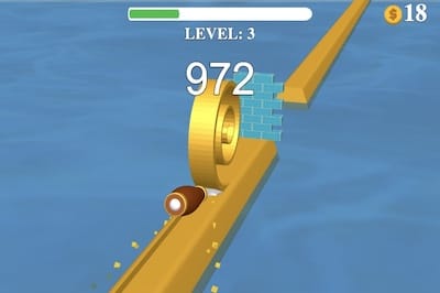 spiral roll