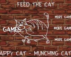 feed the cat