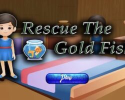 rescue the gold fish