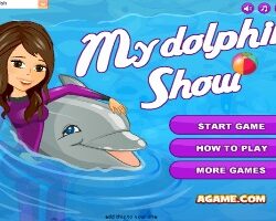 My-Dolphin-Show