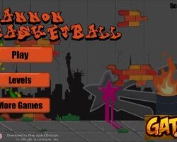 Cannon-Basketball