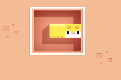 Longcat game