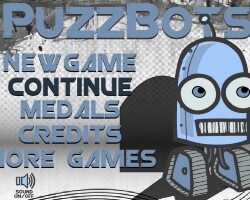 Puzzbots