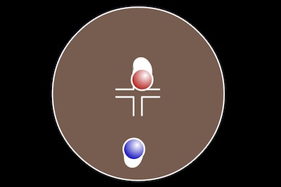 Sumoball